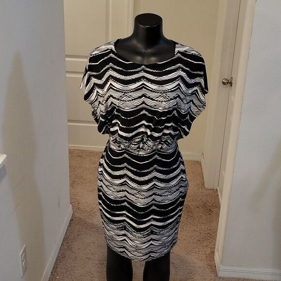 ENFOCUS STUDIO CAP SLEEVE ROUNDNECK ABOVE THE KNEE LENGTH WOMEN"S DRESS - Picture 12 of 14